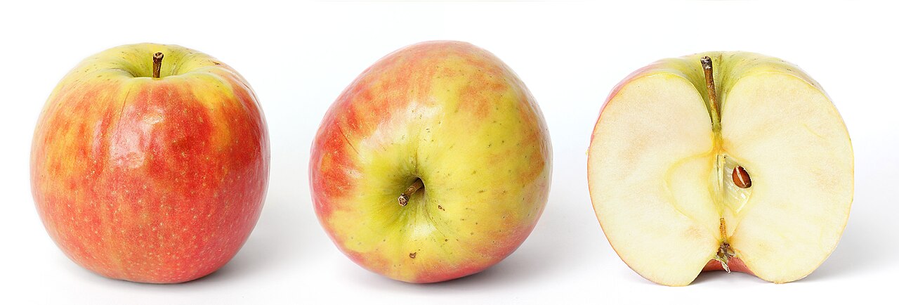 Apple foldable sale: Worst purchase curbs and limits